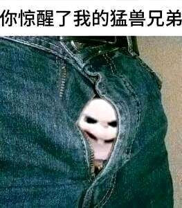 tmpps5dfn13.jpg