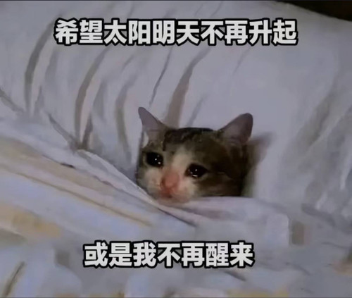 tmp2mn njqn.jpg