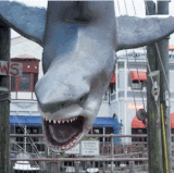 d3878f575b944d1df196122bb9cdcf0f.gif