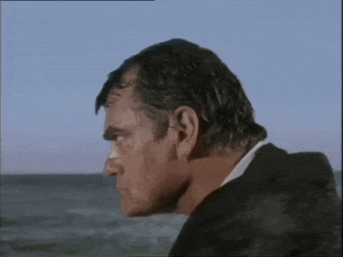 d3d1c444d00e72e3d5e7c29f8bb9f221.gif