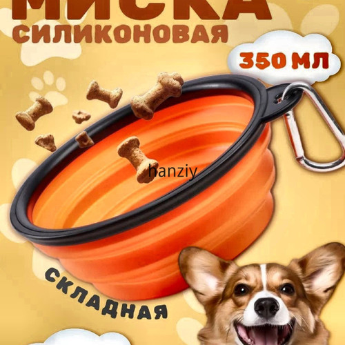 1780541382086.jpg