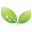 Naturaful logo