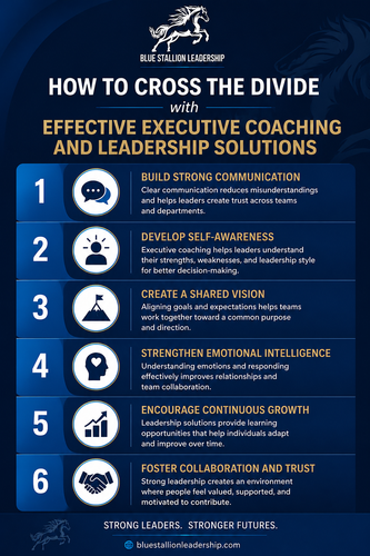 How to Cross the Divide with Effective Executive Coaching and Leadership Solutions (1).png