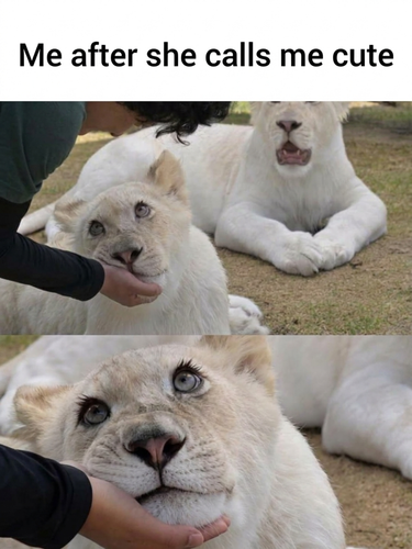image 2026 06 03T133035.689.png