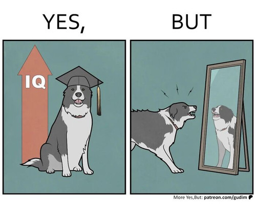 6a1ea46ee5acc 36 brilliant yes but comics by anton gudim that expose the contradictions of modern li.jpg