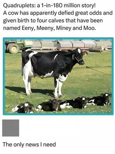 image 2026 06 03T133115.399.png