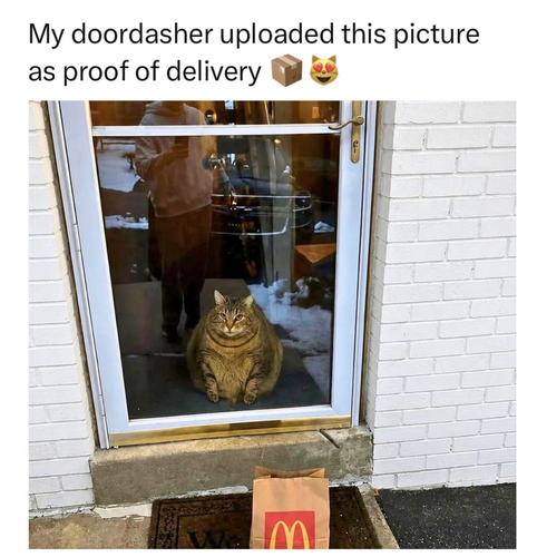 image 2026 06 03T133019.375.png