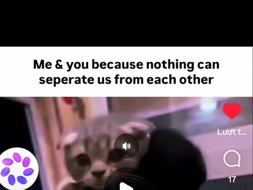 temp.png