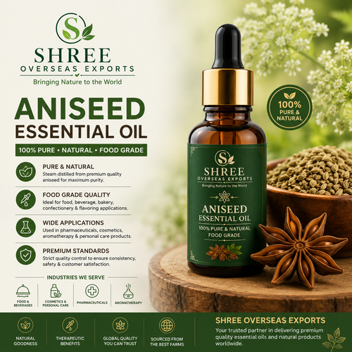 Food Grade Anise Essential Oil Supplier A Complete Guide for Quality, Applications, and Bulk Sourcin.png