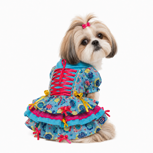 Shih Tzu Vestido Festa Junina.png