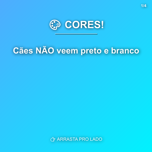 carousel 1780516815862 slide1.png