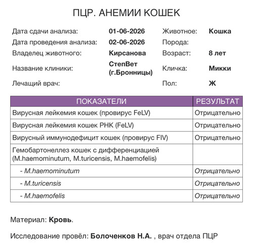 IMG 5077.jpg