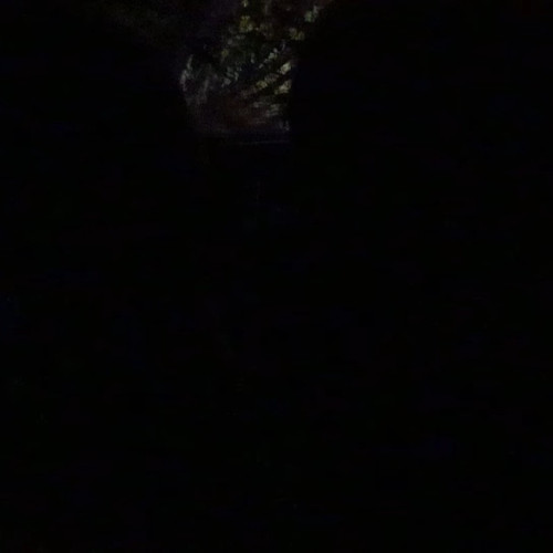 2026 06 03 18 46 06 UTC 9.jpg