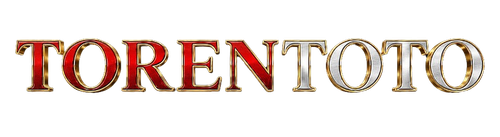 logo torentoto.png