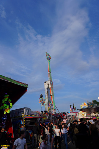 DSC02237 Watermarked.jpg
