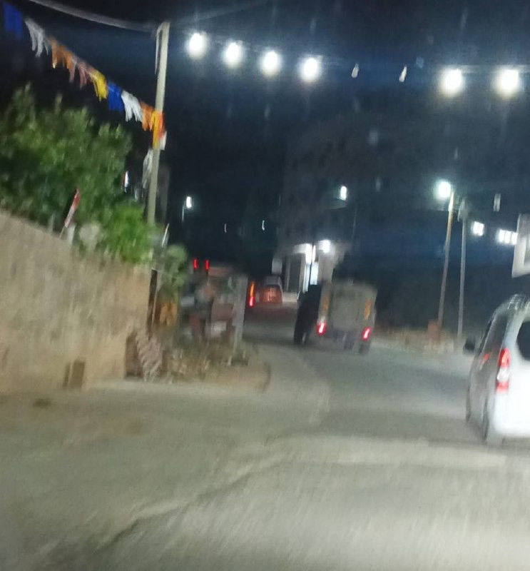 صورة الخبر