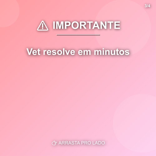 carousel 1780520417585 slide3.png