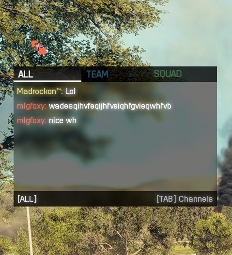 Nice Wall Hack.jpg