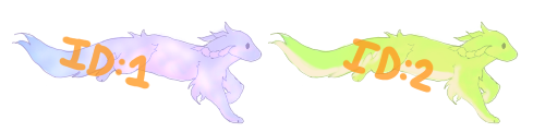 IMG 5378.png