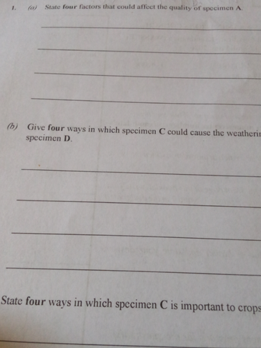 temp.png