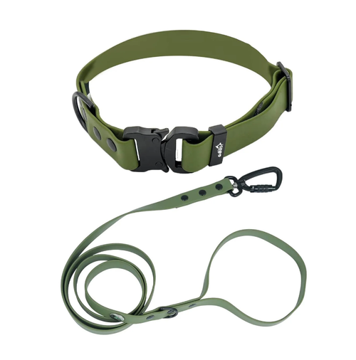Premium Leather Dog Collar & Leash.png