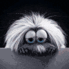 1.gif