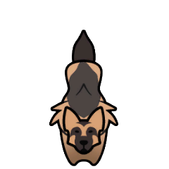 2538e6a9c9f9.png