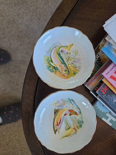 ad1b4fd6d780.jpg