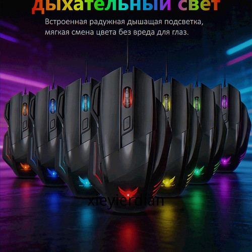 1780507167108.jpg