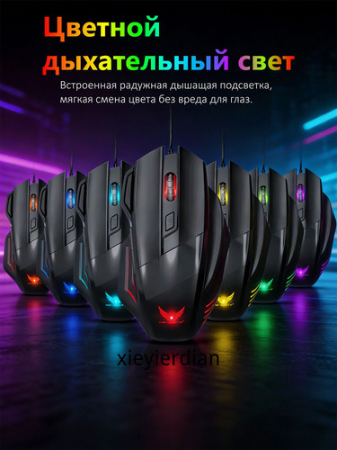 1780507167107.jpg