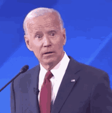 IMG 1649.gif