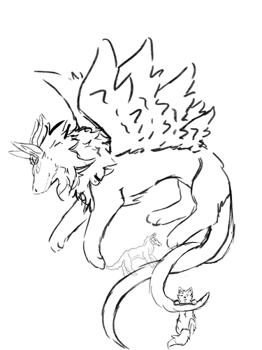 IMG 0366.png
