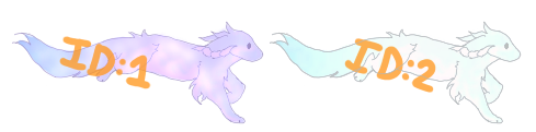 IMG 5374.png