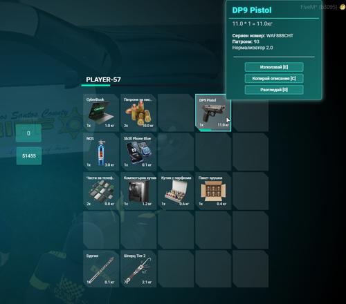 FiveM GTAProcess PKPgVQtXja.png