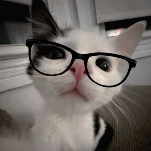image.jpg