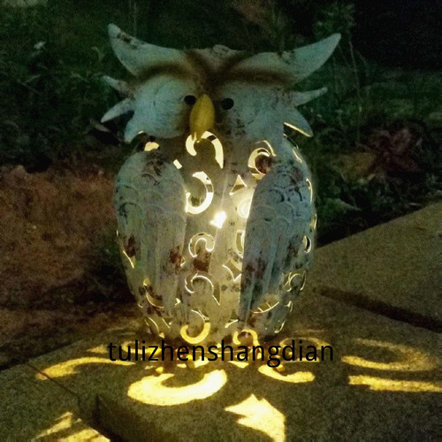 1780508102337.jpg