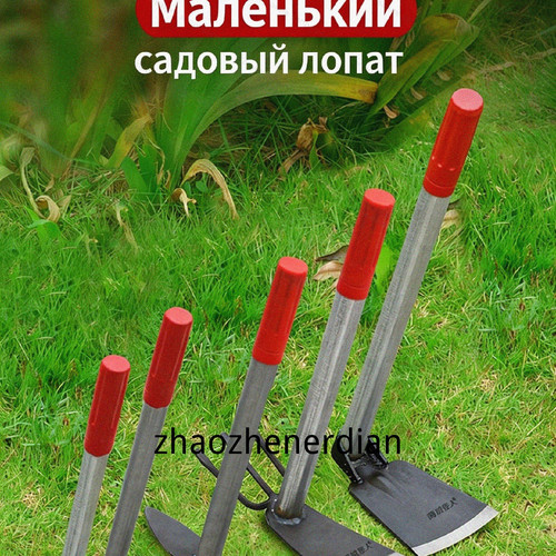 1780507864671.jpg