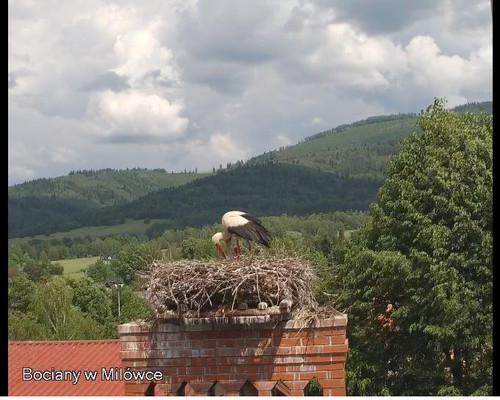 MWSnap684.jpg