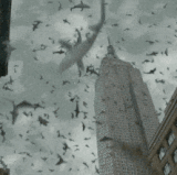 0cc05773b8ba30afe3cfe9a2c3ed2657.gif