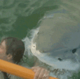 feed767a65c4133d5cbdd5ae3663ce4f.gif