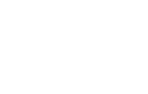 animated logo fast polished.gif