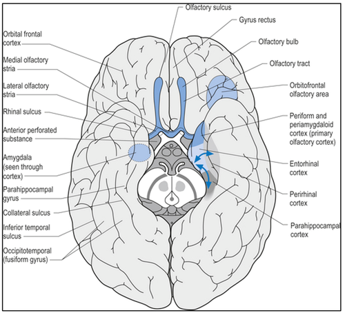 edf3297799f0.png