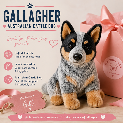 Australian Cattle Dog Gift – Gallagher Plush Stuffed Animal for Dog Lovers.png
