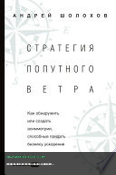 Обложка книги «Стратегия попутного ветра: Как обнаружить или создать асимметрии, способные придать бизнесу ускорение» - Андрей Шолохов
