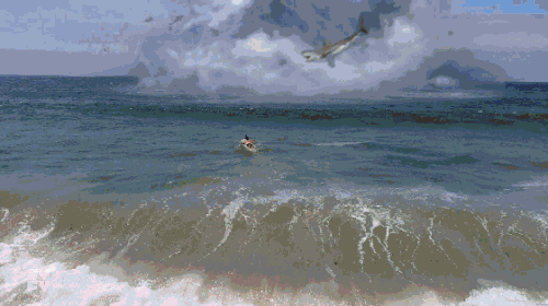 7bf24a5048d35dafb00343618c44cb25.gif
