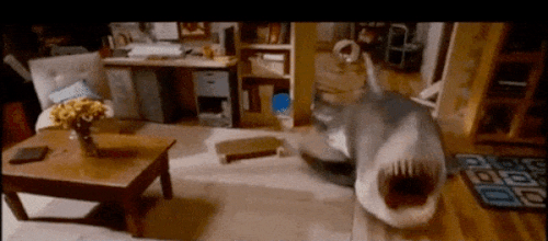3920774ec91b47718e208cb464c3b0ee.gif
