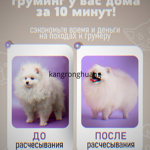 1780544252462.jpg