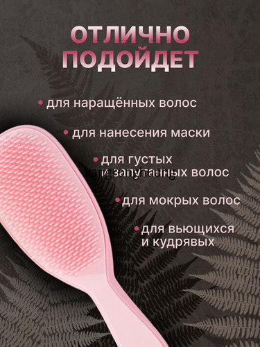 1780544001244.jpg