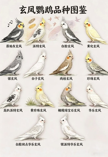 1780547099046.jpg
