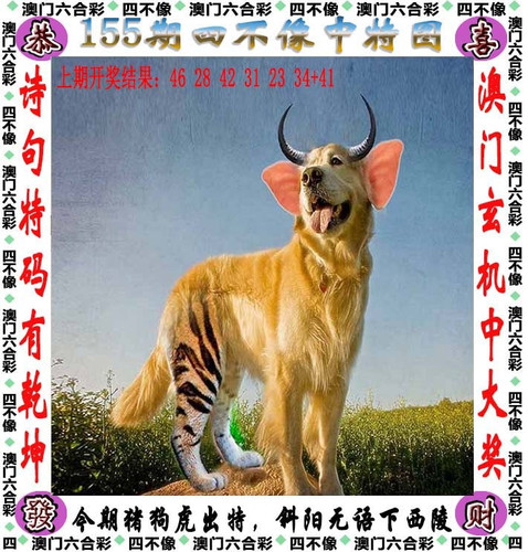 amsbx.jpg